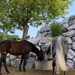 דירה Linda's Ferien-pferdehof *
